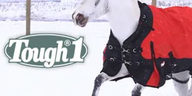 tough1 logo in grey next to grey horse in red and black blanket in the snow