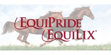 equilix equipride horses running logo