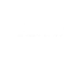 ALLIED MARITIME SOLUTIONS LTD
