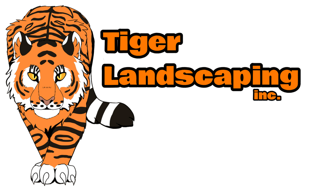 Tiger Landscaping, Inc     .