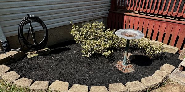 A small garden bed with bushes, a birdbath, and a coiled hose beside a house.