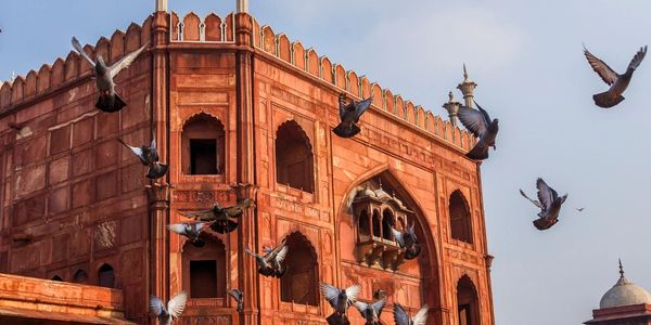 Historic red sandstone building with flying pigeons and visitors nearby.