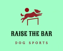 raisethebardogsports.net