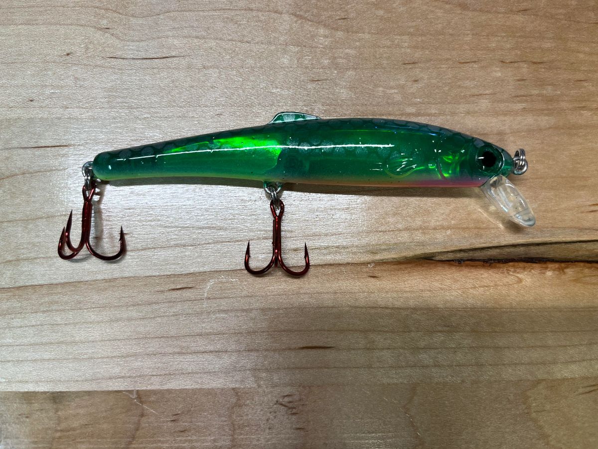 Yaleye-Fish Mooneye Minnow