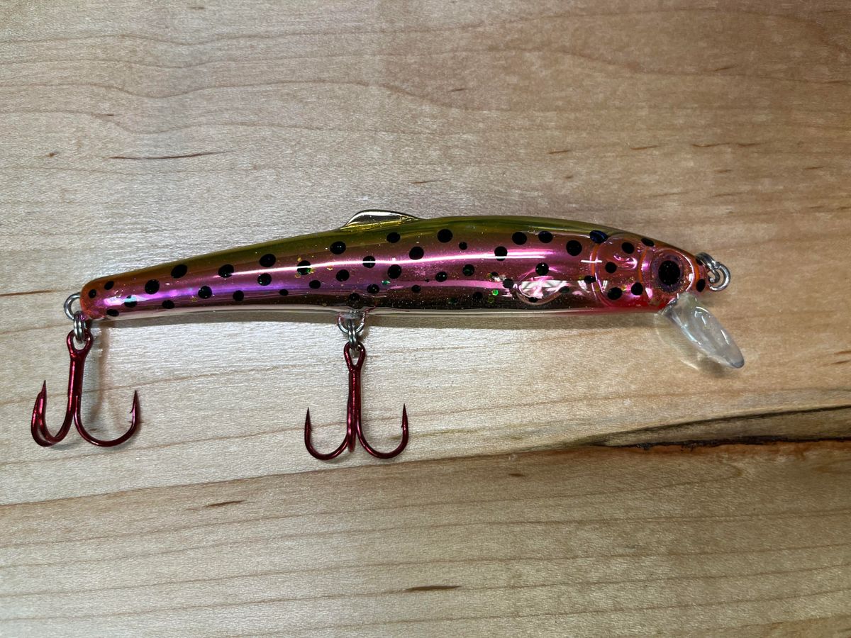 YaleyeFish Mooneye Minnow Rainbow Smelt