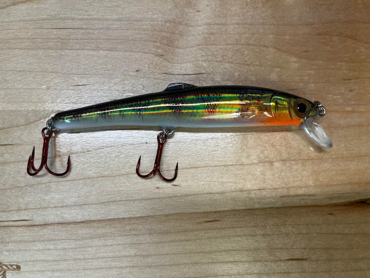 YaleyeFish Mooneye Minnow Erie Perch