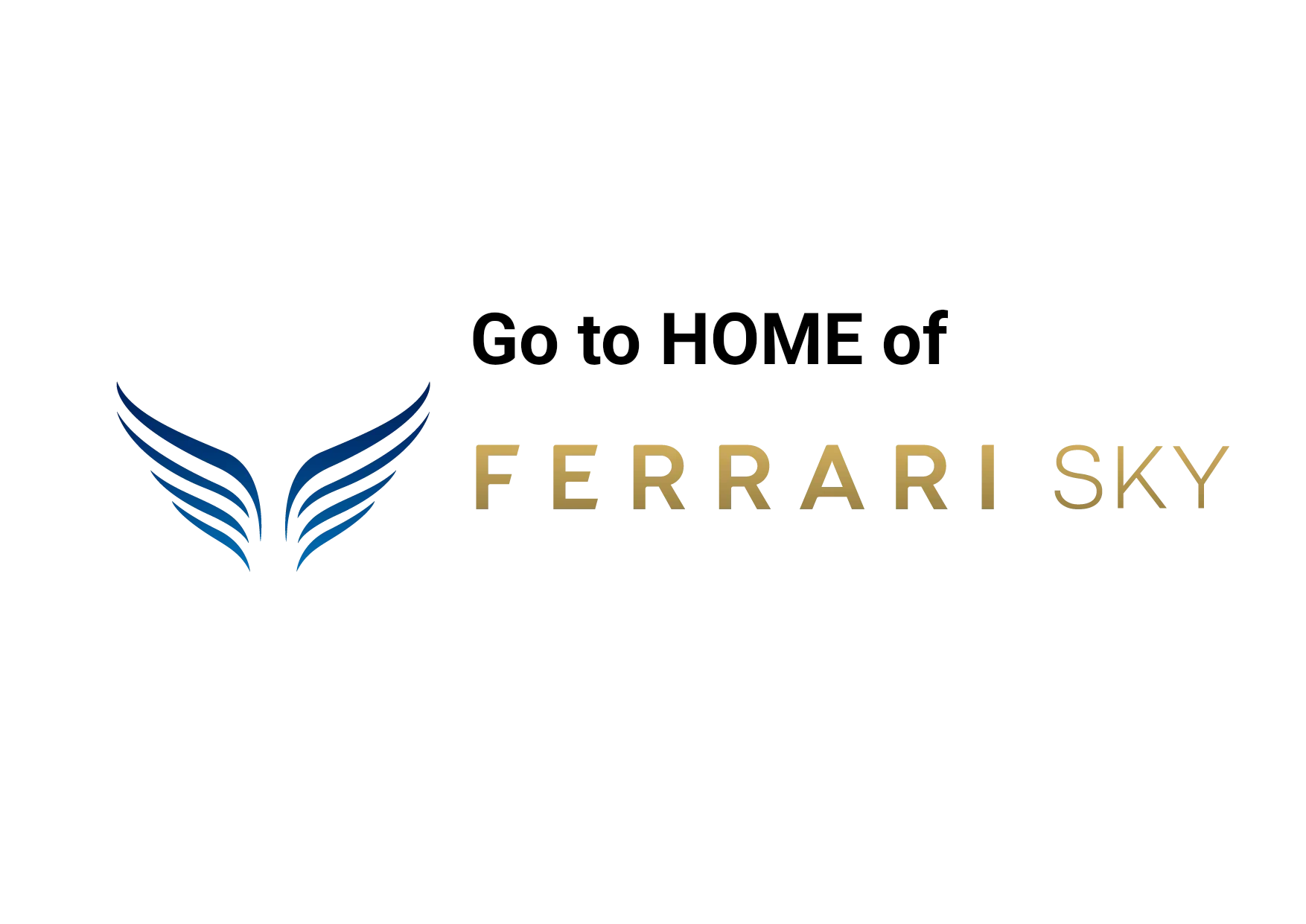 ferrarisky home aviation consulting helicopter flight data monitoring heliport advise pilot 