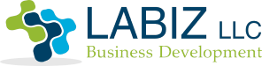 LABIZ LLC