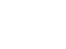 Zenith Detailing