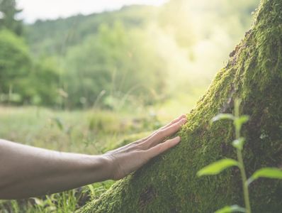 Holistic Healing Epigenetic Trauma Informed Healing Womb Healing San Mateo San Francisco Bay Area