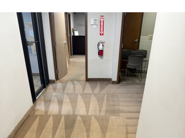 Clean office hallway with vacuumed carpet and fire extinguisher on the wall.