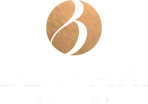 Bluvari Travel