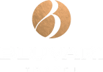 Bluvari Travel