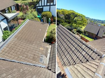 Roof Maintenance & Repair 