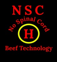 NSC Beef Processing, LLC