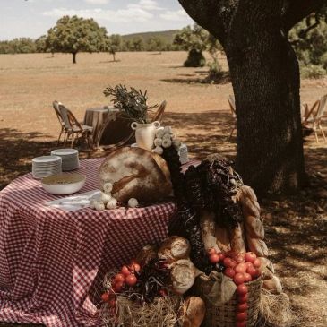Mesa campestre con productos artesanales bajo una encina.