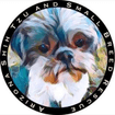 Arizona Shih Tzu & Small Breed Rescue