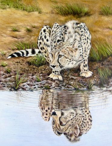 "The Watering Hole" Cheetah in coloured pencils 