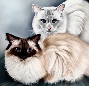 Portrait of two cats from different photos. Recent pastel commission