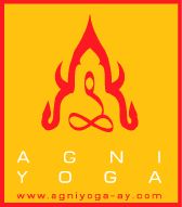agni_logo_ay.png