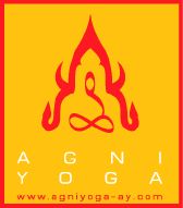 agni_logo_ay.png