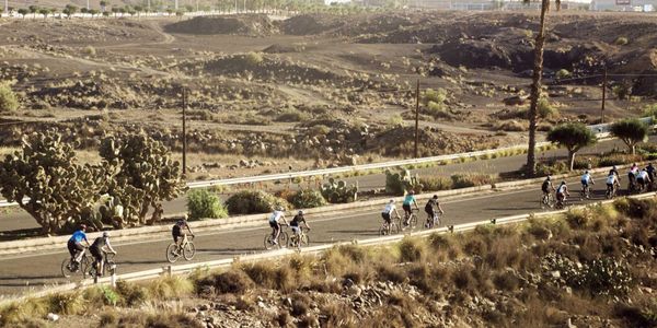 Group of cyclists riding on a desert road with cacti and dry terrain.