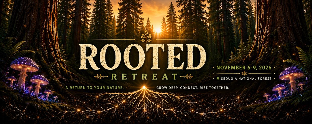Sunset-lit forest with glowing mushrooms and roots, advertising Rooted Retreat 2026.