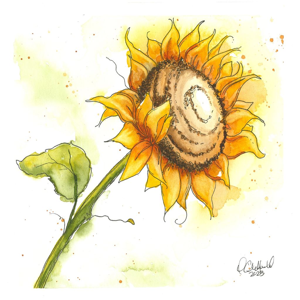 Sunflower
8x8 Watercolour