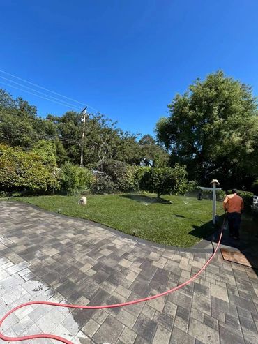 Person watering garden on a sunny day.