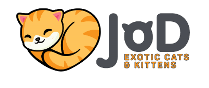 JoD Exotic Cats and Kittens