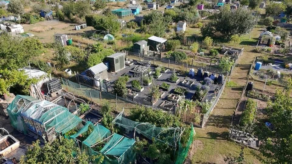 Aerial view of Hobbs Allotments