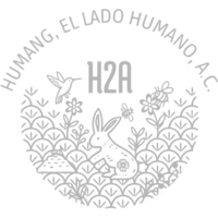    HUMANG, EL LADO HUMANO, A.C.