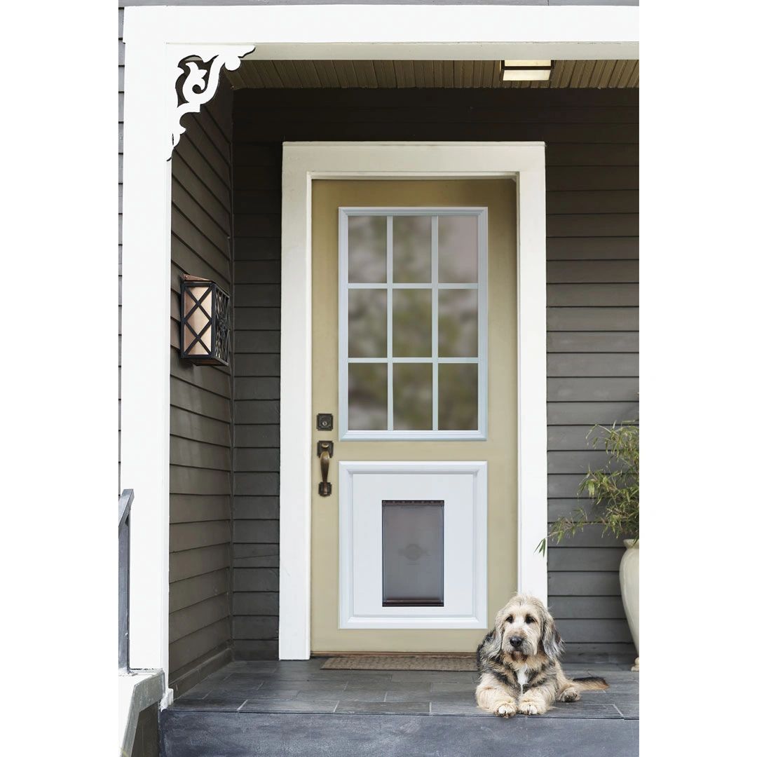 Dog laying on porch in front of pet door 