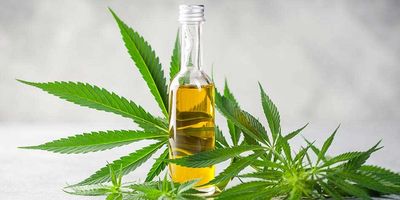 Hemp cbd oil