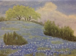 bluebonnet