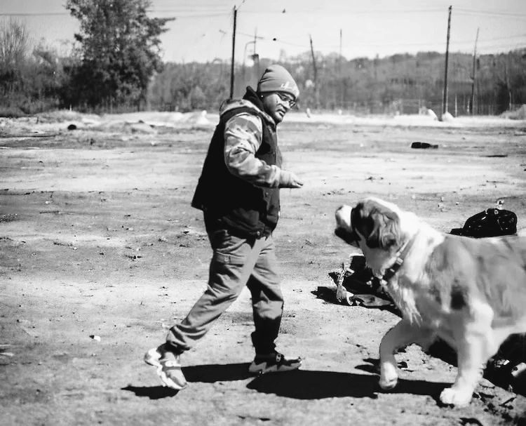 Professional Dog Training Services | Dog Dayz Training