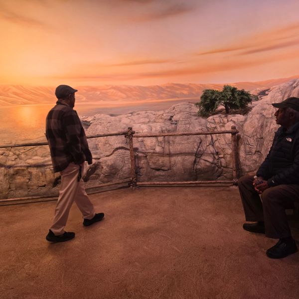 Two men overlooking a rocky landscape at sunset.