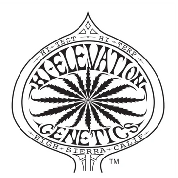Hi-Elevation Genetics, home of Freakshow strain