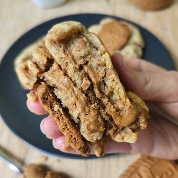 Hand holding a gooey peanut butter chocolate chip cookie sandwich.