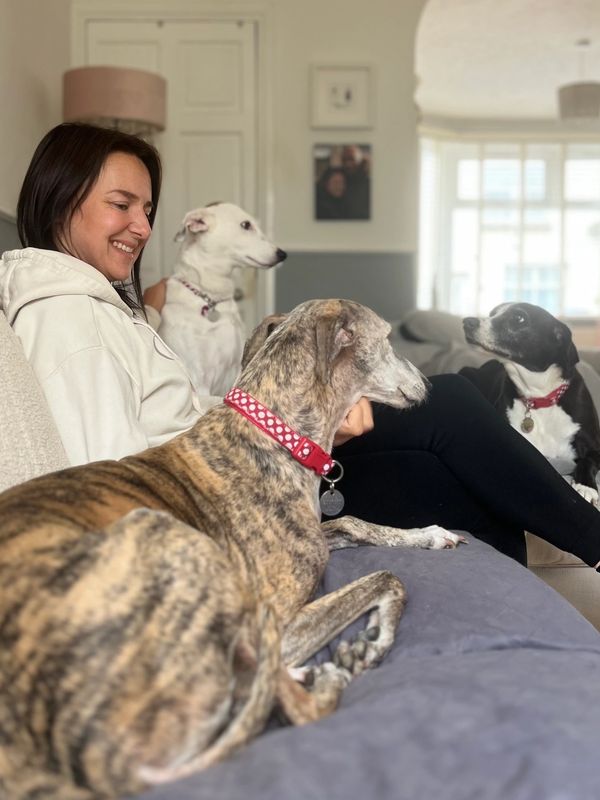 Smiling woman sitting on the sofa with 3 dogs all wanting her attention. 