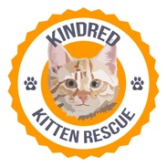 Kindred 
Kitten 
Rescue