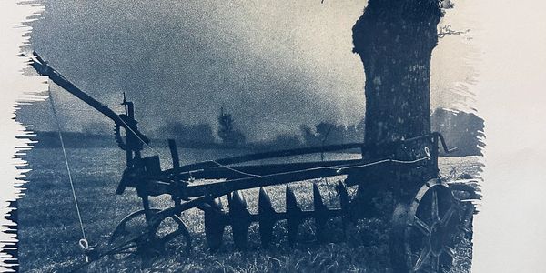 An old horse drawn plough against a tree in a field. 