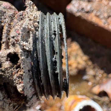 Before Photo of Damaged Pipe