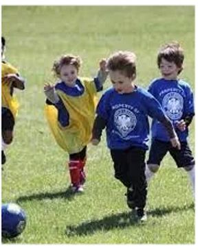 Children playing soccer on a grassy field, wearing colorful jerseys.