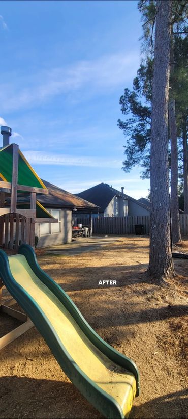 A clean and spacious backyard with a playground slide under a bright blue sky.