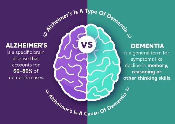 Alzheimer's vs. Dementia 