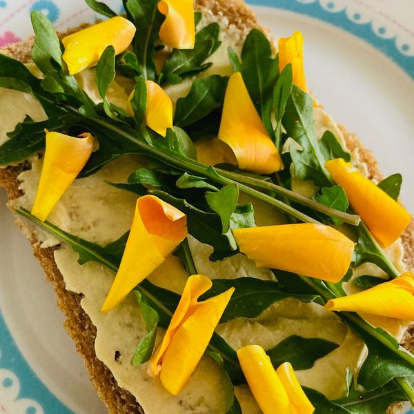 Een snee zelfgemaakt volkoren brood. Belegd met humus en  verse rucola & bloemen uit eigen tuin.