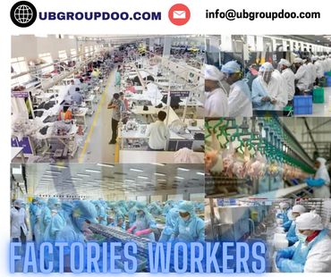 "Revolutionize Your Manufacturing: Meet Your Factory Dream Team with UB GROUP DOO!"