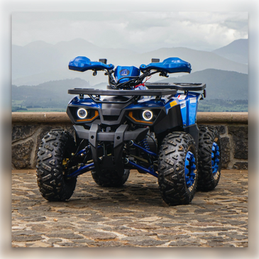 Custom ATV