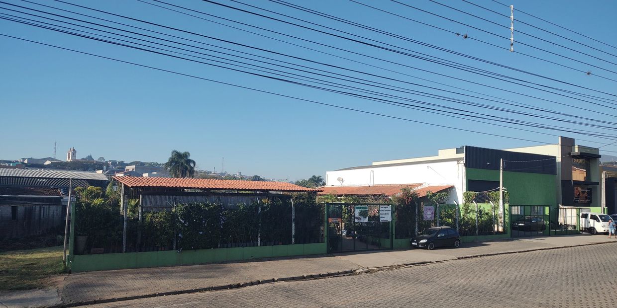 Loja de plantas em bom Jesus dos Perdões 